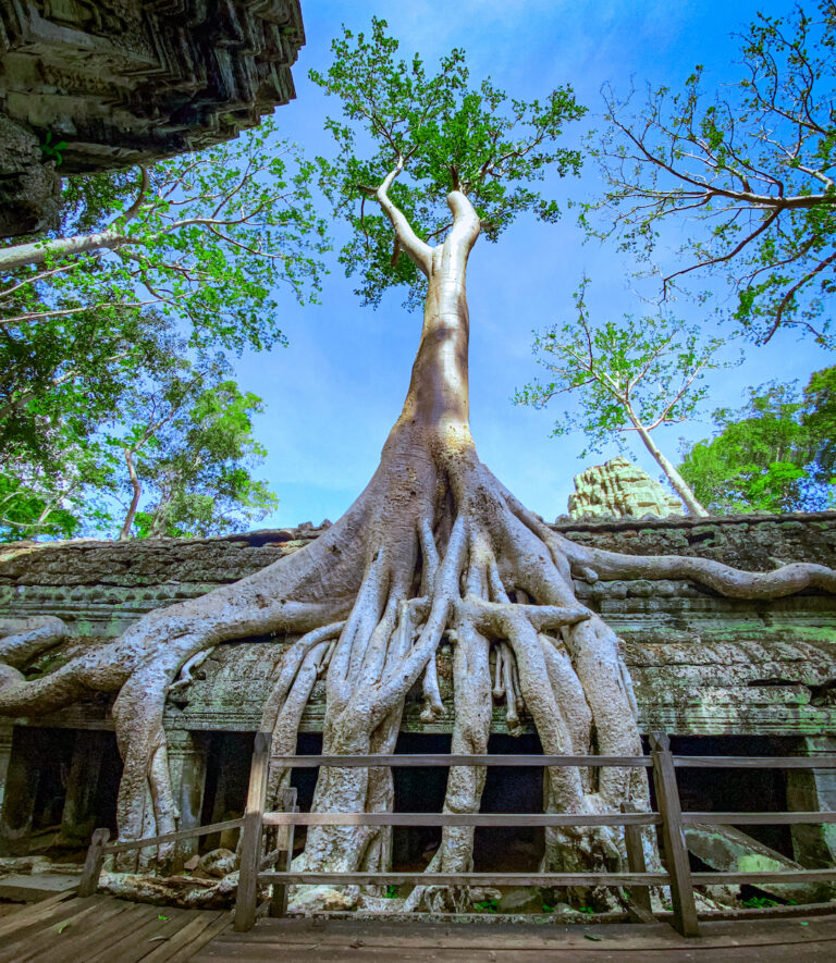 Tour of the Grand Circuit – Angkor Archaeological Park