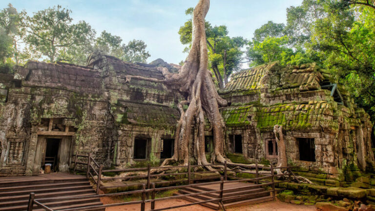 Ta Prohm Temple: The Most Magical Place to Visit in Siem Reap
