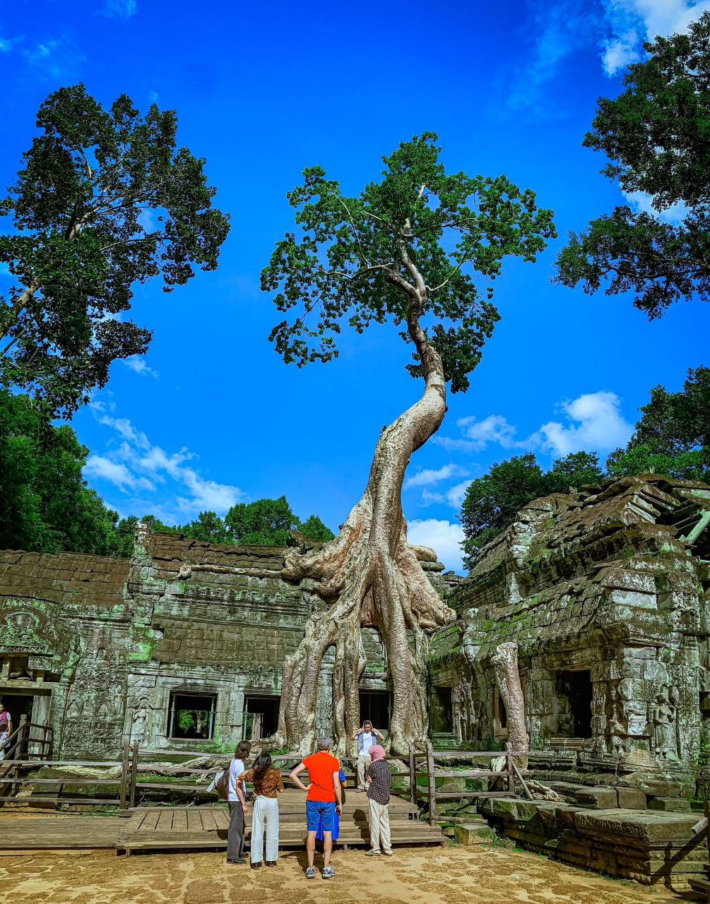 photo_2025-10-16_10-12-34 (3)